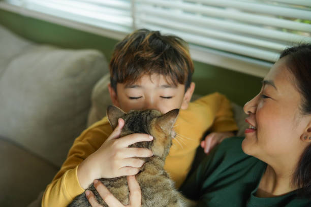 istock ​Child Boy and mother hugging a cat on the sofa happily. 2187233266