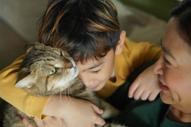 istock ​Child Boy and mother hugging a cat on the sofa happily. 2187233285