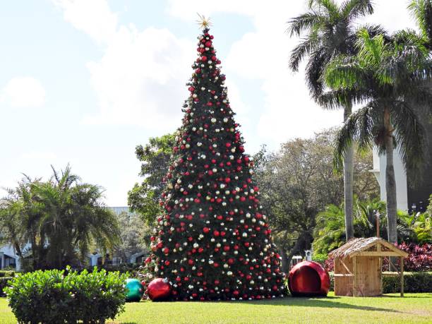 istock Outdoor Christmas tree with ornaments in Florida 2187235794