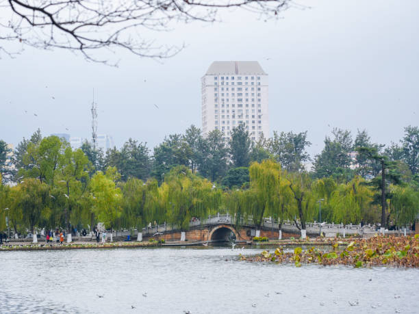 istock Cuihu Park on a cloudy day in winter 2187236180
