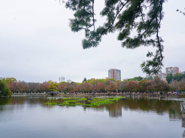 istock Cuihu Park on a cloudy day in winter 2187236236
