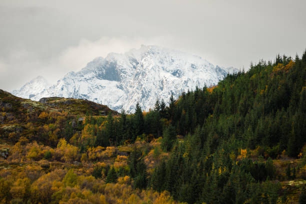 The breathtaking view showcases a majestic snowcapped mountain beautifully set amid colorful autumn trees