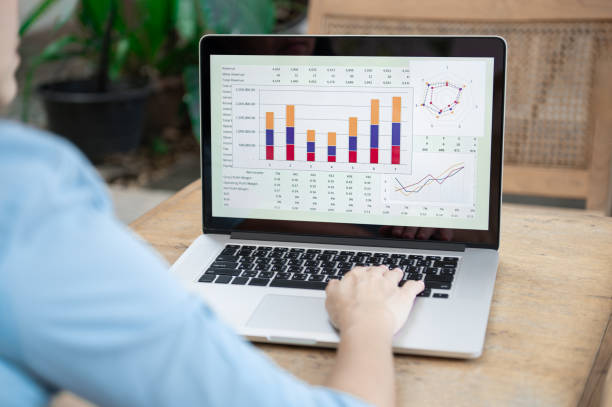 istock accounting and financial software concept. business spreadsheet on computer screen for training and development. 2187241824