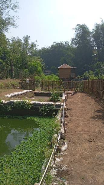 istock Plantations and fish ponds 2187244951