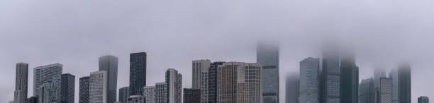 Dark Forestry in Foreground of Picture, with a Dimly Lit Skyscraper Behind and a Dense Fog Cascading Down on New York City