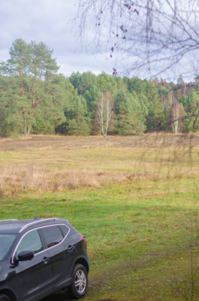 istock Parked black car Overlooking Serene Forest and Meadow Landscape 2187255910