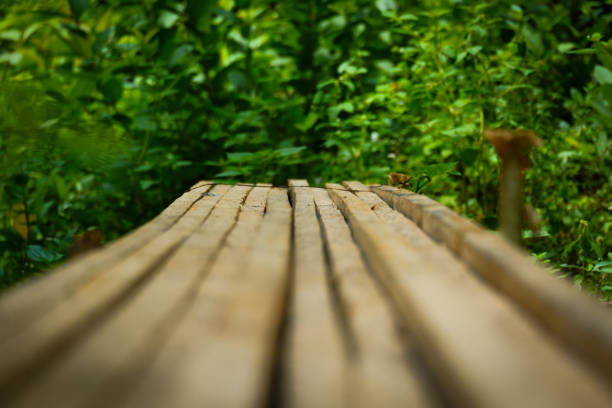 photography of wood arranged against a green natural background is suitable for mock ups