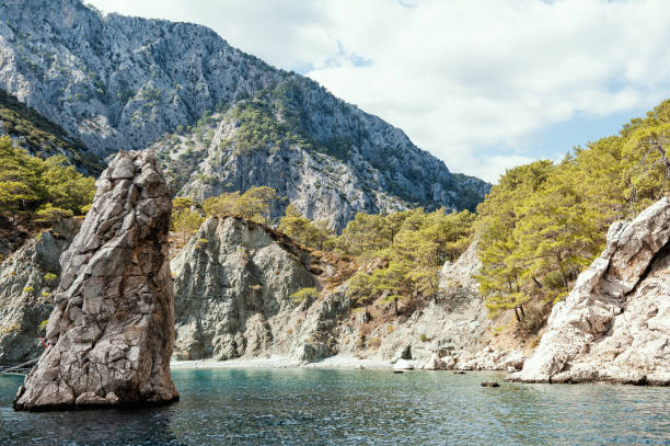 Breathtaking coastal landscape in Turkey with turquoise waters and pine-covered mountains