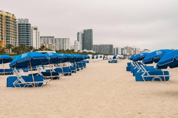 Miami Beach, USA - December 29, 2017: Empty beach with blue umbrellas and lounge chairs during the off-season.