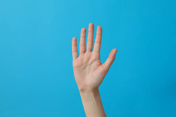 Female hand showing five fingers on a blue background
