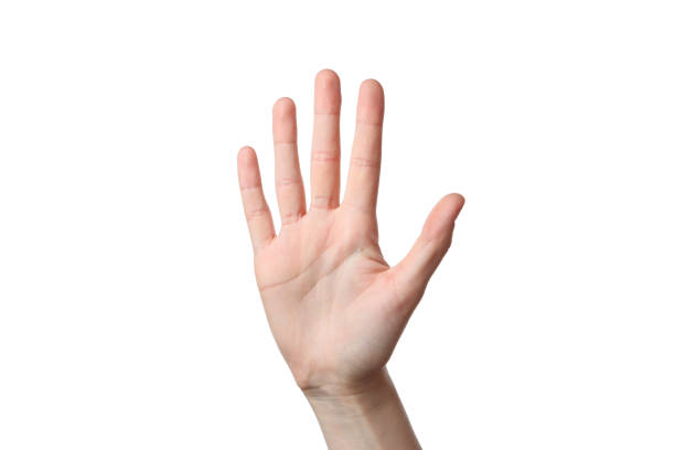 Indonesian hand with 5 finger gesture