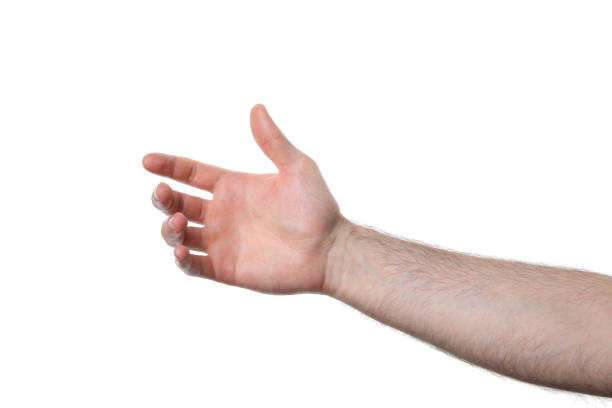 PNG,man's palm, isolated on white background