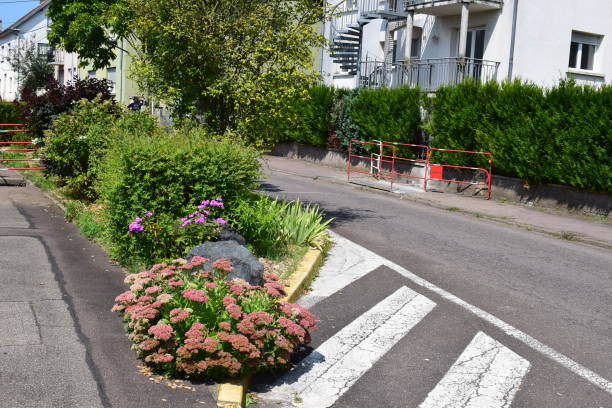 istock flowers around the streets 2187269593