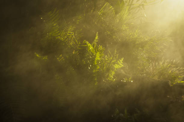 istock Landscape of Mount Batur 2187269931
