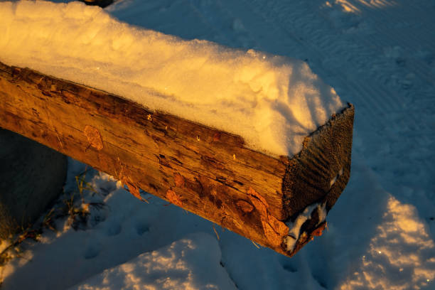 snow on wooden balk detail