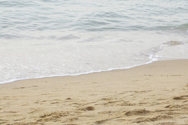 Beach and sea shore texture background