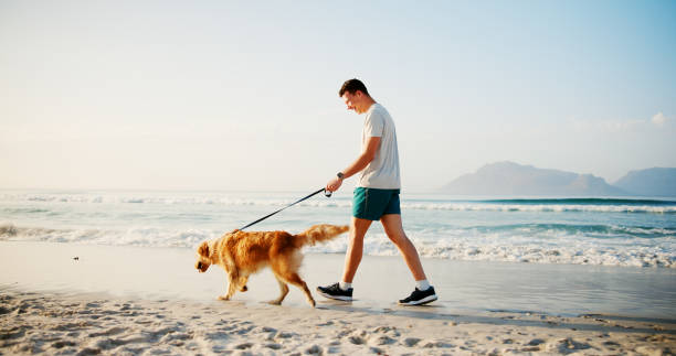 istock Workout, man and walking with dog at beach for fun adventure, wellness training and bonding with companion. Mockup, owner and pet on leash by ocean for cardio exercise, fresh air and exploring nature 2187274931