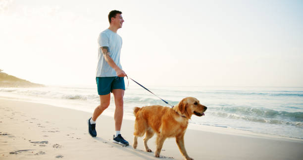 istock Exercise, man and walking with dog at beach for fun adventure, wellness training and bonding with companion. Mockup, owner and pet on leash by ocean for cardio workout, fresh air and exploring nature 2187274933