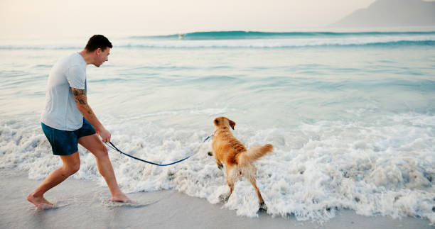 istock Beach, man and running with dog in water for fun activity, wellness exercise and bonding with companion. Energy, owner and pet animal on leash by ocean for holiday adventure, fresh air and playing 2187274946
