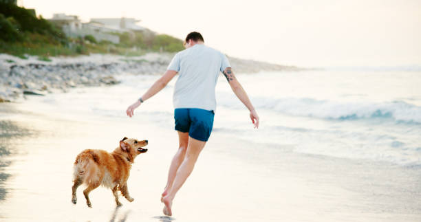 istock Playing, man and running with dog on beach for fun activity, wellness exercise and bonding with companion. Travel, back and person with pet animal by ocean for holiday adventure, vacation and energy 2187274958