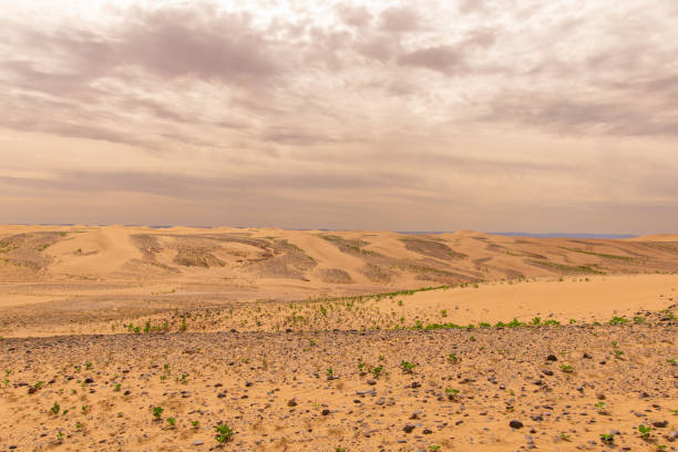 View of the Magnificent Landscape of the Sahara Desert in Morocco