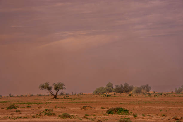 View of the Magnificent Landscape of the Sahara Desert in Morocco