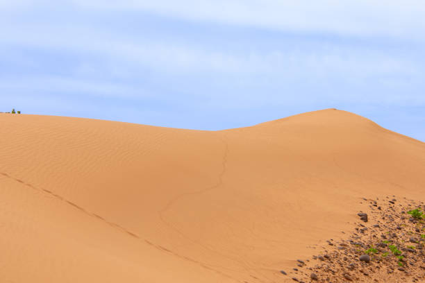 istock Magnificent Landscape of the Sahara 2187276987