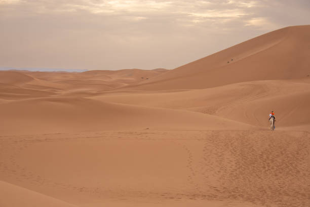 istock Magnificent Landscape of the Sahara 2187277026