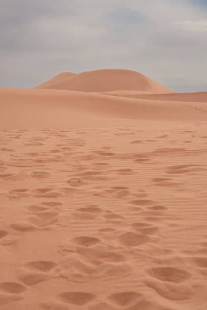 Erg Chebbi dunes in Morocco, Sahara desert.