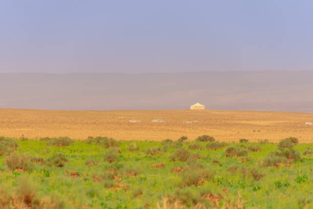 istock Magnificent Landscape of the Sahara 2187277543