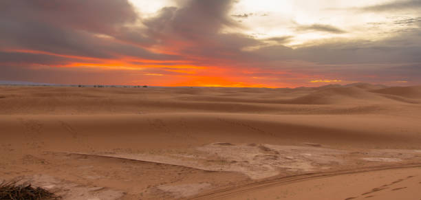 istock Magnificent Landscape of the Sahara 2187277665