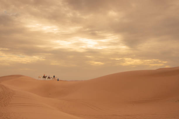 istock Magnificent Landscape of the Sahara 2187277690