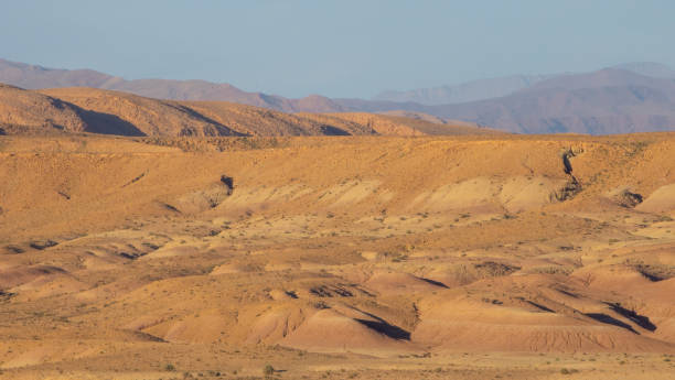 istock Magnificent Landscape of the Sahara 2187277706