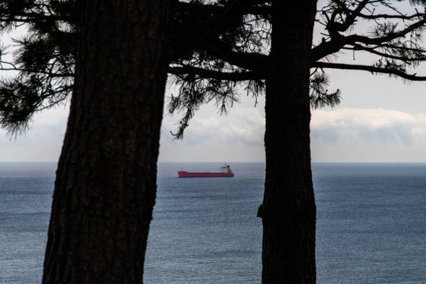 tranquil seascape
