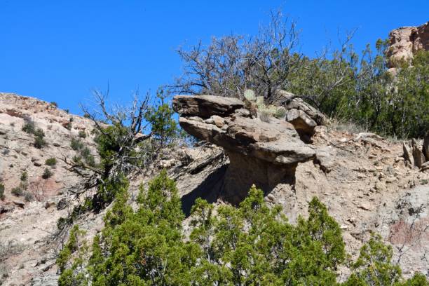 istock Dinosaur head rock formation on a hill 2187286019