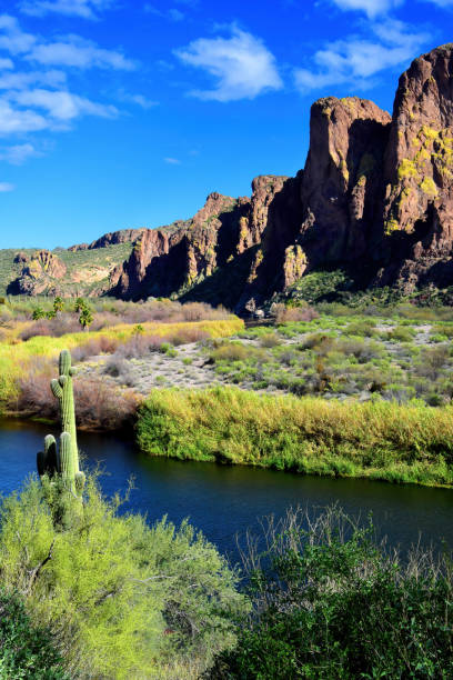 istock Salt River Recreation Area Arizona 2187289238