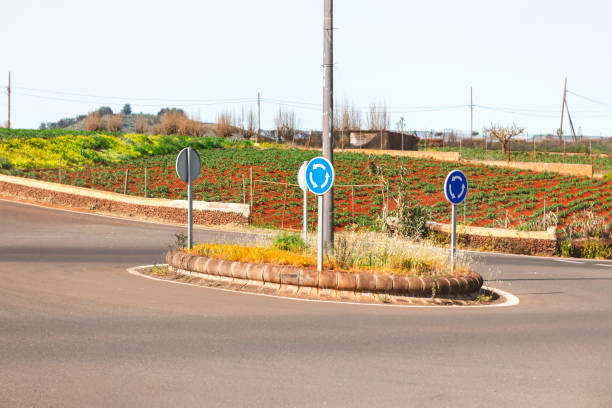 Small roundabout with blue circular traffic signs indicating direction. It is surrounded by fields, greenery, and red soil, with pole and some vegetation in central island. Roundabout in Gran Canaria