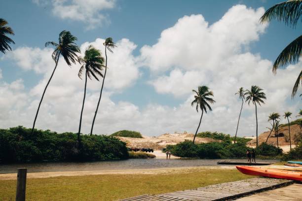 istock Tropical beach with palm trees and kayaks. 2187302366
