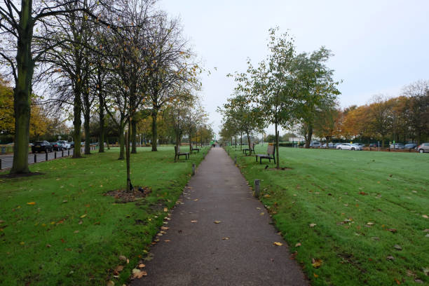 istock Green public park with wooden bench on both sides 2187304462
