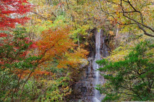 istock Seto Otaki waterfall in autumn (Iwayado Park, Seto City, Aichi Prefecture) 2187304674