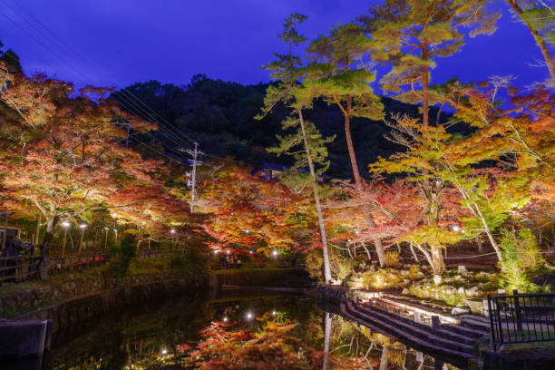 istock Illuminated autumn leaves at Iwayado Park (Seto City, Aichi Prefecture) 2187304889