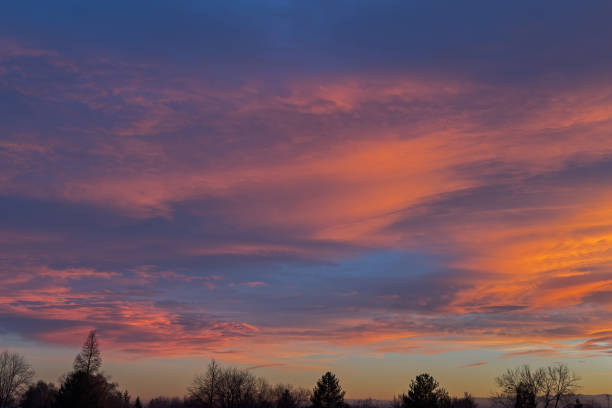 Landscape of bare trees and clouds and sunset, Front Range, Rocky Mountains, Colorado, USA