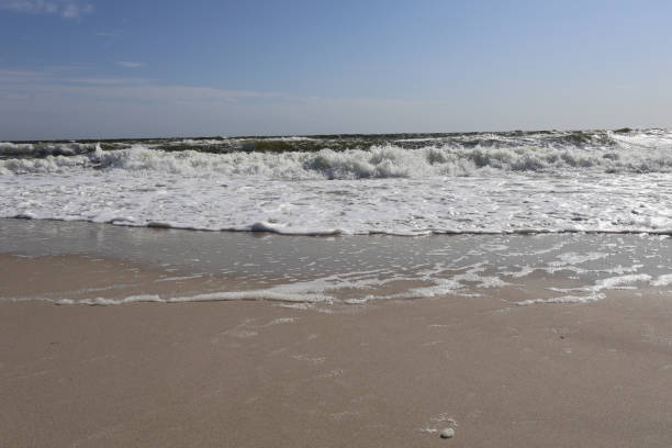A peaceful view of ocean waves gently washing onto a sandy beach under a bright blue sky, capturing the beauty of nature and the tranquility of the seaside.