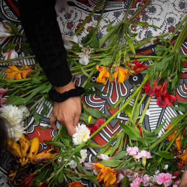 Photography of flowers in a blanket being picked up by female hand