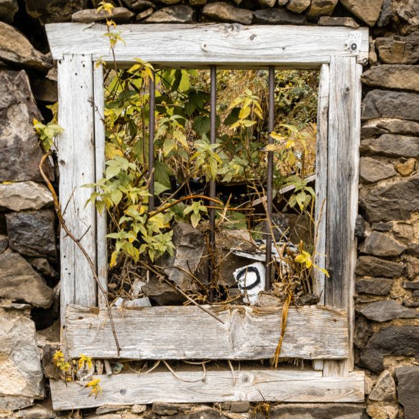 istock An Abandoned Window Framed by Forest, Steel Bars and Silence in Rocca Pietore 2187309557