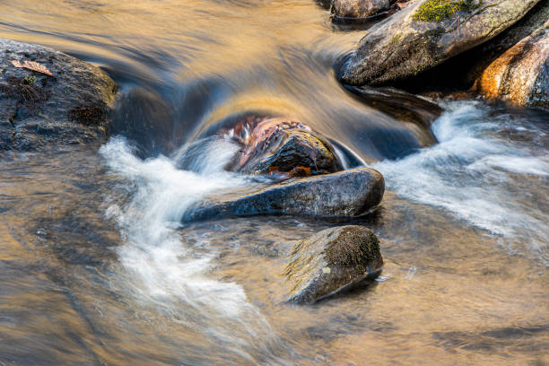 istock the cascading water of a small brook 2187310507