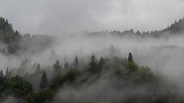 istock The Enigmatic Fog Over Rocca Pietores Forested Wilderness 2187310672
