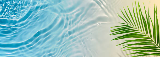 istock abstract sand beach with blue water wave and green palm leaf from above, beach vacation background banner concept with sunlight reflections and copy space for beauty spa, vacation and travel 2187312289