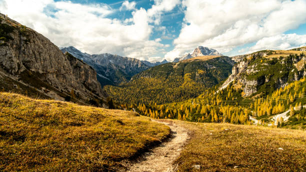 Natures Canvas: Autumn in the Dolomites