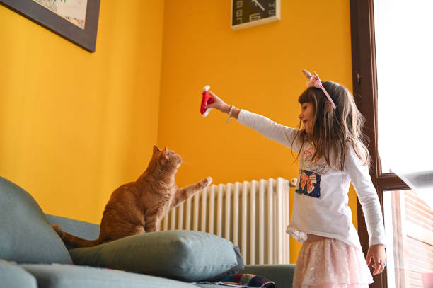 istock Cheerful girl with ginger cat. 2187312749